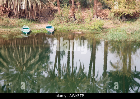 Piccole imbarcazioni e riflette le palme sulle rive del fiume Nilo Foto Stock