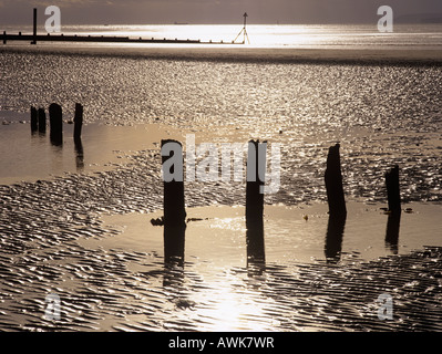 Retroilluminato con pennelli di legno in silhouette vuota sulla spiaggia sabbiosa a bassa marea in inverno sulla costa sud. West Wittering West Sussex England Regno Unito Foto Stock