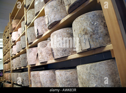 Formaggi sul display a Neals Yard Dairy, Borough Market, a sud-est di Londra Foto Stock