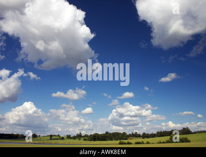 Vista di una giornata d'estate in un parco dei cervi Foto Stock