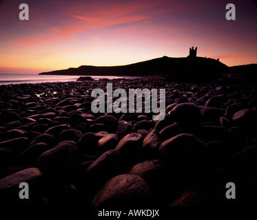 Il castello di Dunstanburgh si vede attraverso il campo di boulder di sunrise, Northumberland, Inghilterra Foto Stock