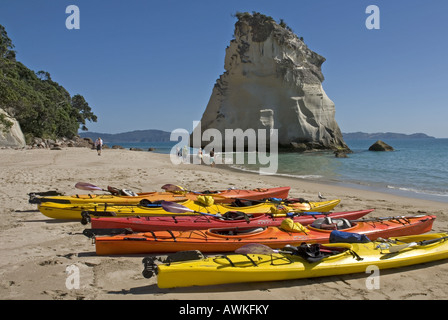 Cove Della Cattedrale vicino Hahei sulla Penisola di Coromandel, Nuova Zelanda Foto Stock