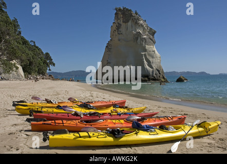 Cove Della Cattedrale vicino Hahei sulla Penisola di Coromandel, Nuova Zelanda Foto Stock