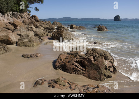 Cove Della Cattedrale vicino Hahei sulla Penisola di Coromandel, Nuova Zelanda Foto Stock