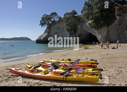 Cove Della Cattedrale vicino Hahei sulla Penisola di Coromandel, Nuova Zelanda Foto Stock