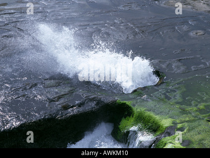 Nuova Zelanda, Muriwai Beach, spruzzi d'onda attraverso il foro nella roccia Foto Stock