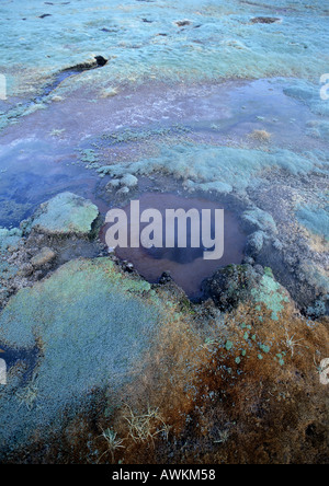 Il Cile, El Norte Grande, El Tatio Geyser Foto Stock