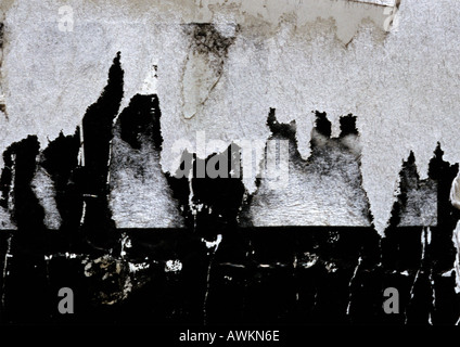 Carta strappata sulla parete Foto Stock