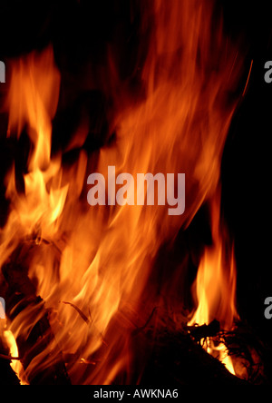 Fiamme di fuoco, close-up, movimento sfocato Foto Stock