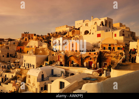 Il villaggio di Oia, lavato in luce calda del pomeriggio Foto Stock