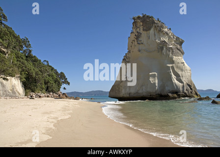 Cove Della Cattedrale vicino Hahei sulla Penisola di Coromandel, Nuova Zelanda Foto Stock