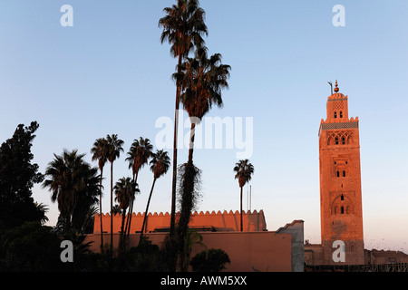 Minareto della moschea di Koutoubia con palme, Marrakech, Marocco, Africa Foto Stock