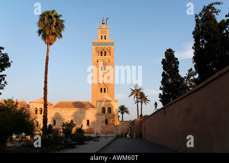 Minareto della moschea di Koutoubia con palme, Marrakech, Marocco, Africa Foto Stock