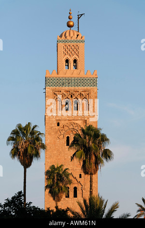 Minareto della moschea di Koutoubia con palme, Marrakech, Marocco, Africa Foto Stock