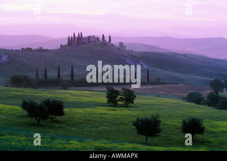 Nebbia di mattina su Podere Belvedere, Val d'Orcia, Toscana, Italia, Europa Foto Stock