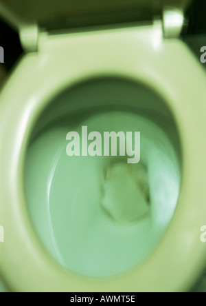 Tazza igienica, close up Foto Stock