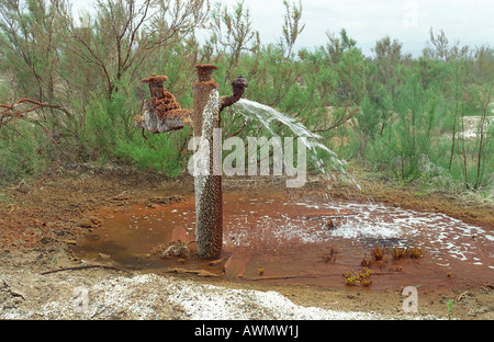 Bene nel deserto, parco nazionale Altyn Emel. Aktau, Kazakistan Foto Stock