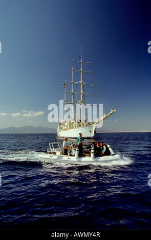 I subacquei in un gommone a prua della nave a vela Amorina, Mar Rosso Foto Stock