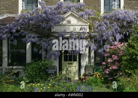 Esterno della casa suburbana con il glicine cresce la parte anteriore, Woodford London GB UK Foto Stock