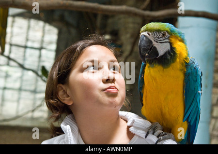 Blu-giallo Macaw (Ara ararauna) seduto sulla spalla di un dieci-anno-vecchia ragazza Foto Stock