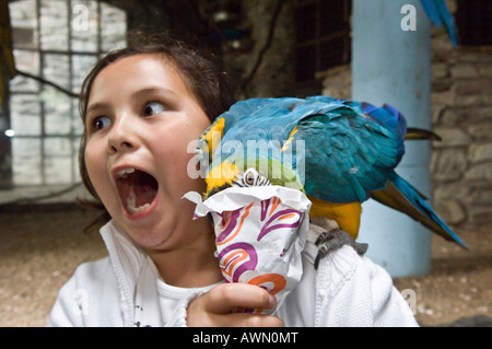 Blu-giallo Macaw (Ara ararauna) seduto sulla spalla di un dieci-anno-vecchia ragazza, Parrot mangiare dal sacchetto, bambino ottiene un f Foto Stock