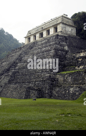 México Palenque Templo de las Inscripciones Chiapas Palenque, Chiapas, Messico Foto Stock