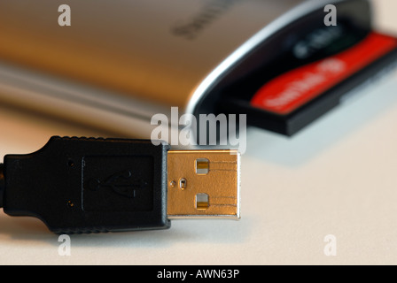 Scheda di memoria compact flash con lettore di scheda di memoria e presa USB Foto Stock