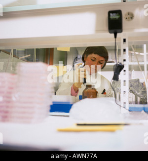 Decodificare Reykjavik Islanda Foto Stock