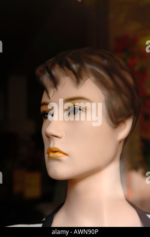 Ritratto di testa, anni cinquanta mannequin femminile, Querfurt, Sassonia-Anhalt, Germania, Europa Foto Stock