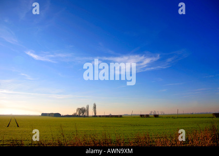 Cirrus Uncinus nuvole paesaggio piatto nella zona delle paludi del Cambridgeshire England Regno Unito Regno Unito Foto Stock