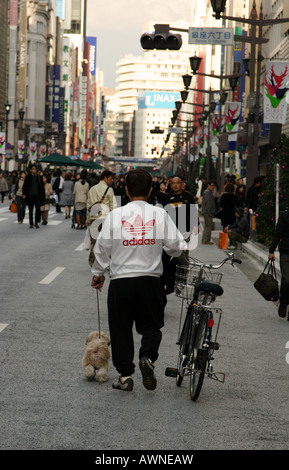 Un uomo spinge una bicicletta e a piedi un cane di piccola taglia in Ginza, Tokyo, Giappone Foto Stock