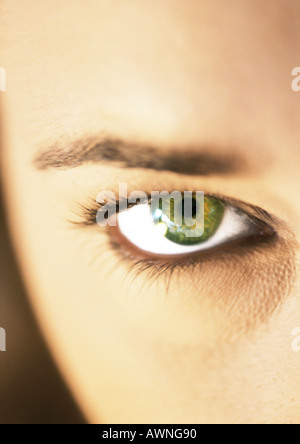 Donna occhio verde e sopracciglio, extreme close up. Foto Stock