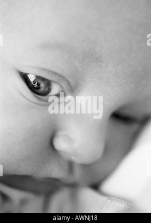 Baby la faccia, close-up, B&W. Foto Stock