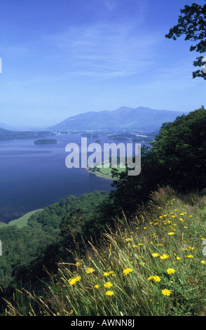 Lake District Panorama dalla sorpresa di fronte le isole di acqua di Skiddaw picco di montagna alberi verdi boschi fiori gialli Foto Stock