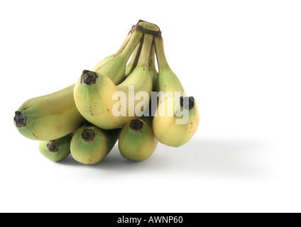 Banane Foto Stock