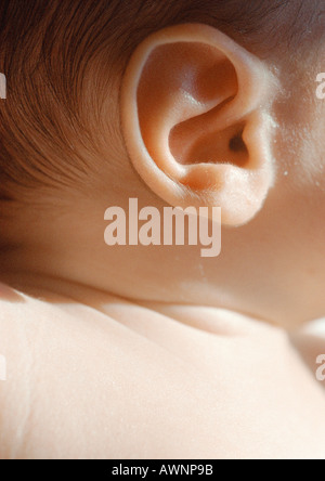 Baby l orecchio, close-up Foto Stock