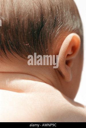 Baby's ear, vista posteriore, close-up Foto Stock