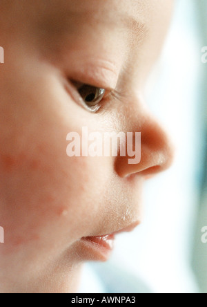 Baby la faccia a vista laterale, close-up Foto Stock