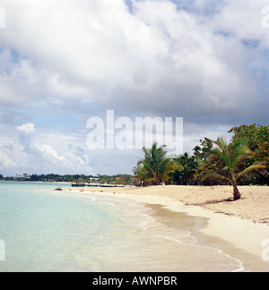 Una spiaggia di Roatan Honduras Foto Stock