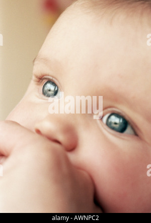 Baby la faccia e mano adulta, close-up Foto Stock