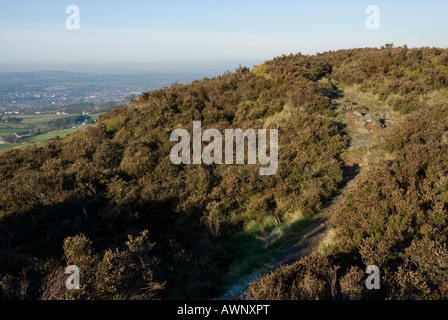 Sentiero attraverso bracken al naso Teggs Macclesfield in background Cheshire Regno Unito 2007 Foto Stock