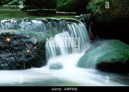 Kleine Ohe in streaming in caduta, Nationalpark Bayerischer Wald (Parco Nazionale della Foresta Bavarese), in Baviera, Germania, Europa Foto Stock