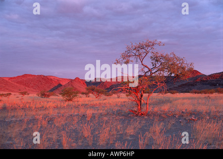 Tramonto sulla montagna, Damaraland, Namibia, Africa Foto Stock