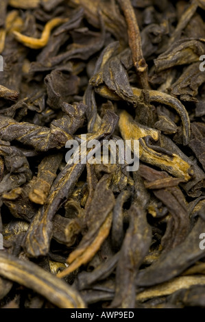 Tè nero close up foto tealeaf Foto Stock