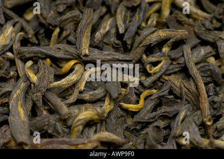 Tè nero close up foto tealeaf sfondo Foto Stock