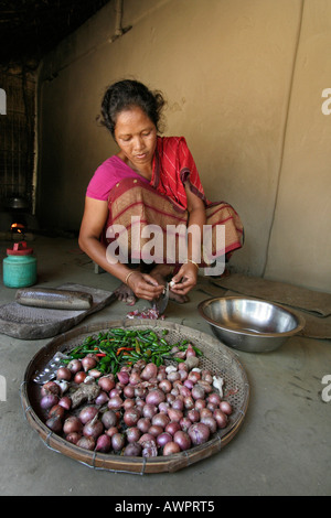 BANGLADESH Alpona Ritchil una donna dei tribali Garo minoranza Trita cipolle e aglio Foto Stock