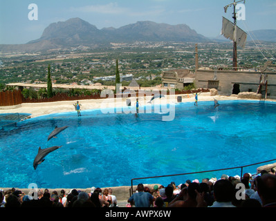 Spettacolo di Delfini, Mundomar, Benidorm, Provincia di Alicante, Spagna Foto Stock