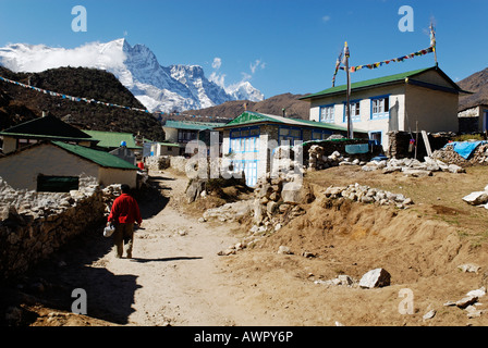 Trekking Lodge a Khumjung Sherpa village, Parco Nazionale di Sagarmatha, Khumbu, in Nepal Foto Stock