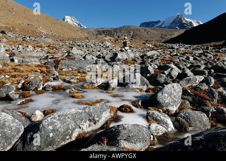 La tundra valle a Cho La Pass, Khumbu Himal, Parco Nazionale di Sagarmatha, Nepal Foto Stock