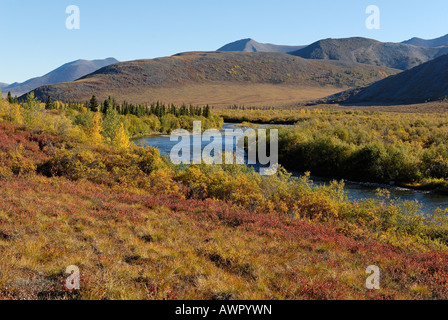 Ogilvy montagne, Dempster Highway, Yukon Territory, Canada Foto Stock